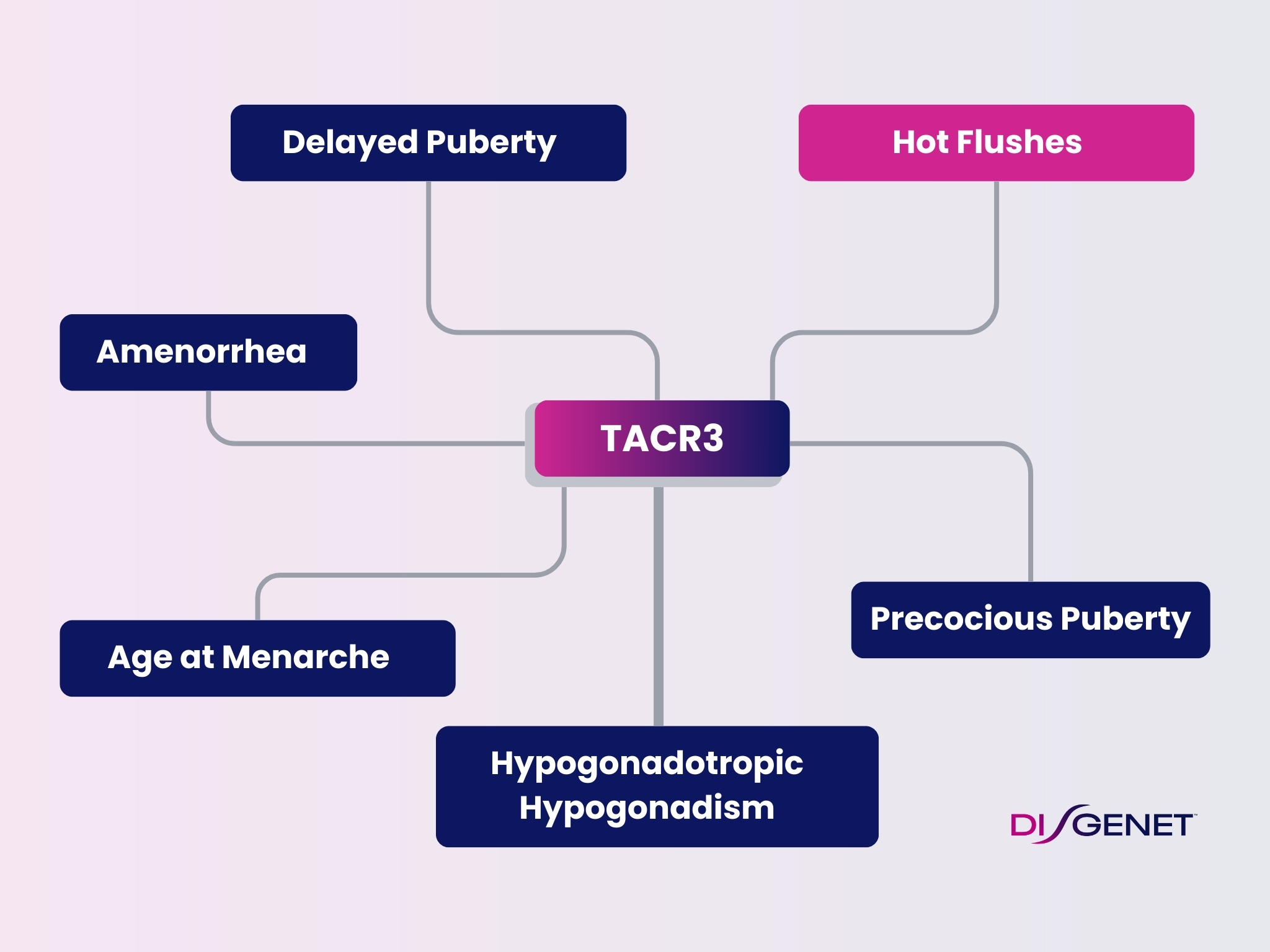 TACR3 and its variants are also associated with related traits, such as amenorrhea, age at menarche, hypogonadism, and alterations of puberty, underscoring the role of TACR3 in reproductive health.